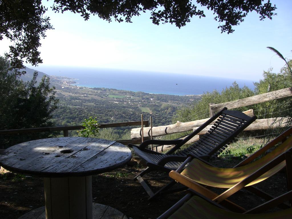 Casa Musicale Pigna